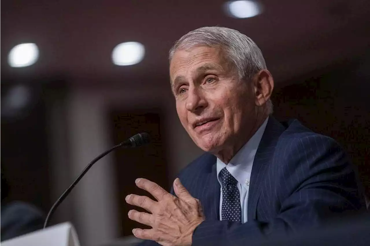 Top US infectious diseases expert Anthony Fauci to join Georgetown University faculty