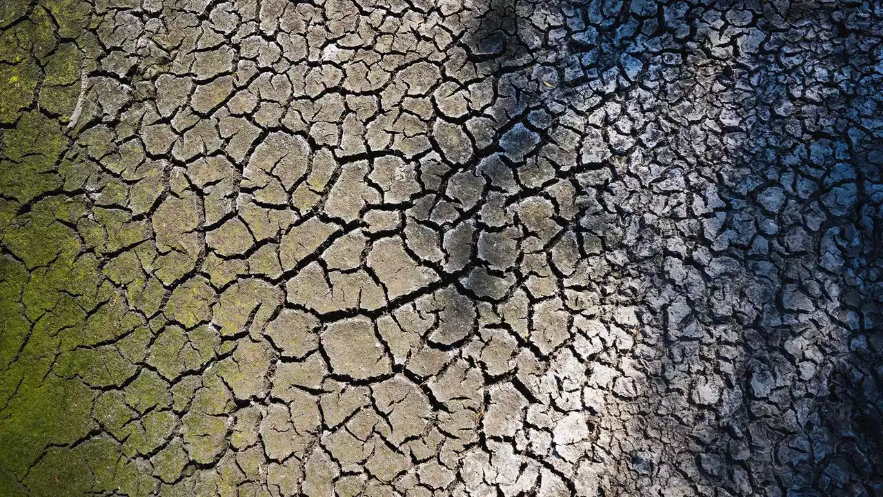 Kommentar zur EVP-Blockade: Stimmenfang auf Kosten der Natur