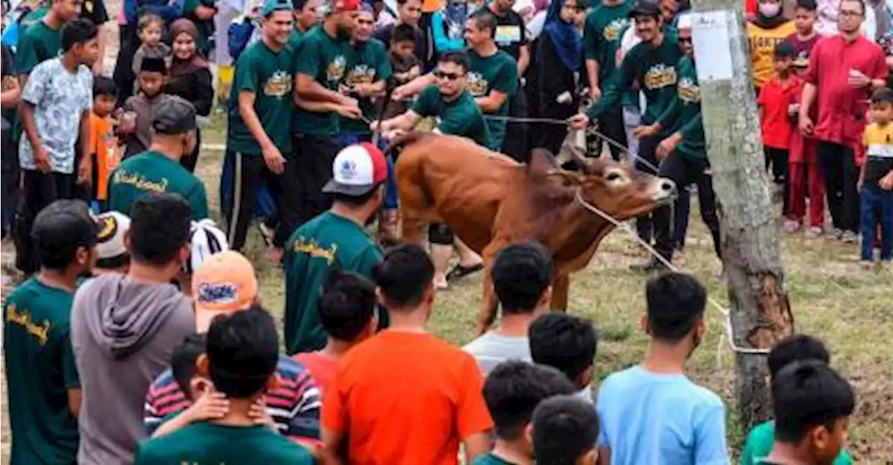 Additional Aidiladha public holiday for Selangor civil servants on June 30