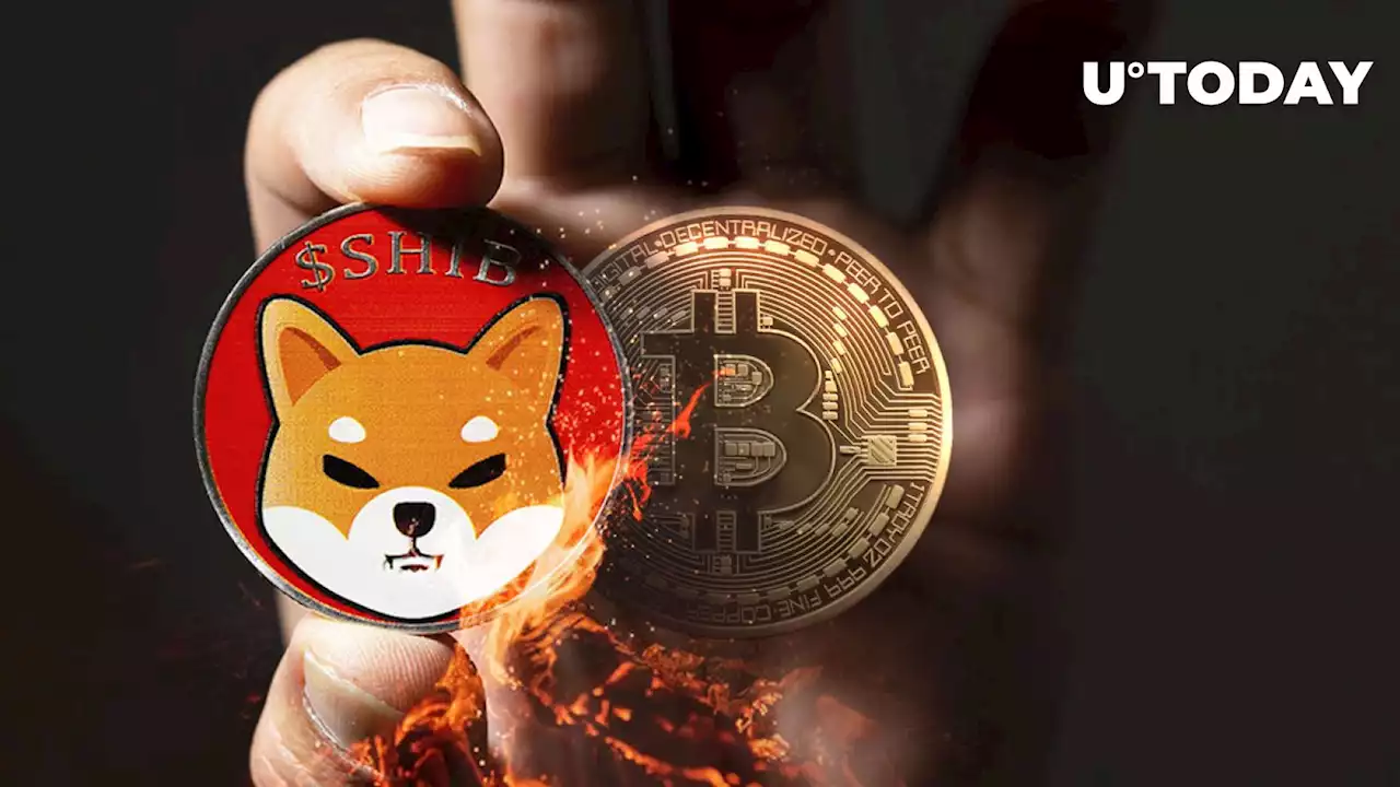 101 Million SHIB Burned As Shytoshi Kusama Likens Shiba Inu to Bitcoin (BTC)