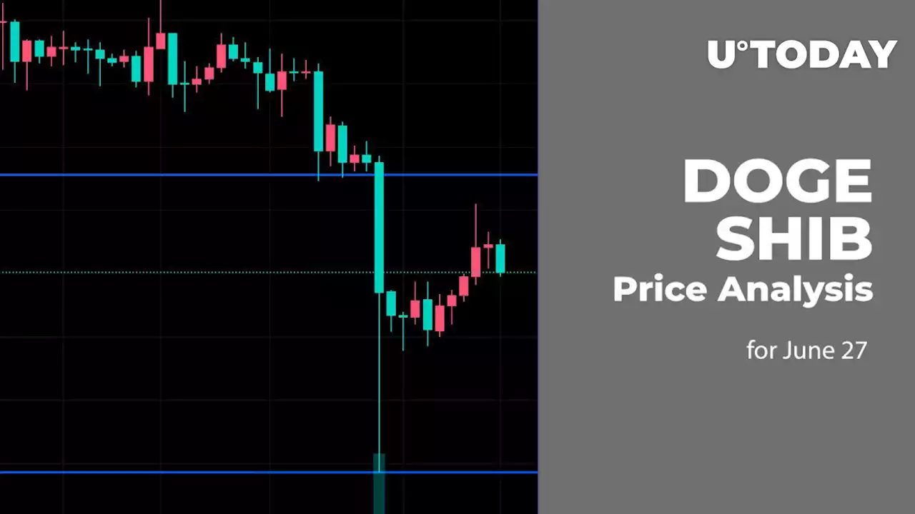 DOGE and SHIB Price Analysis for June 27