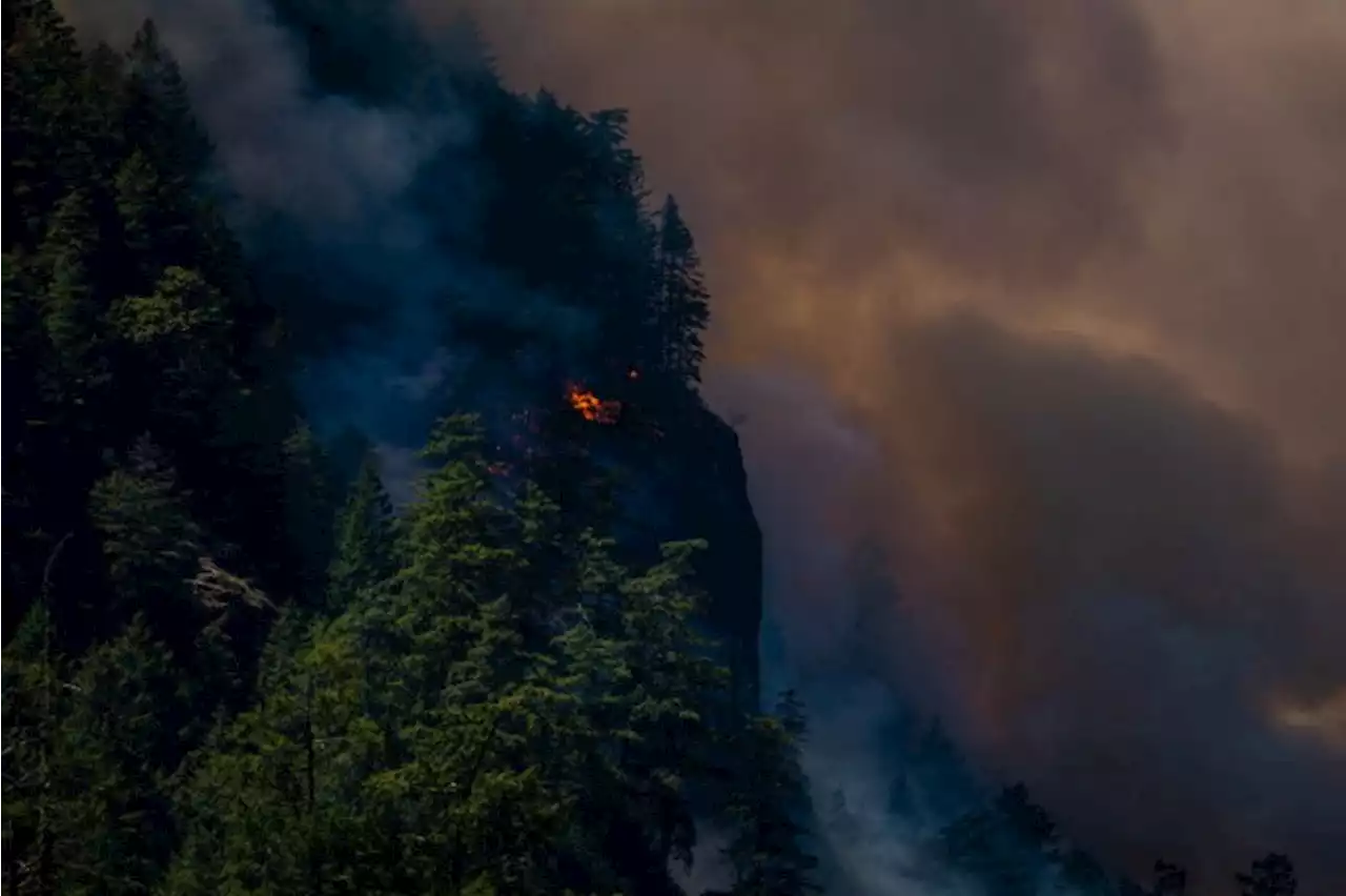 Incêndios no Canadá bateram recorde de emissões de CO2, diz relatório