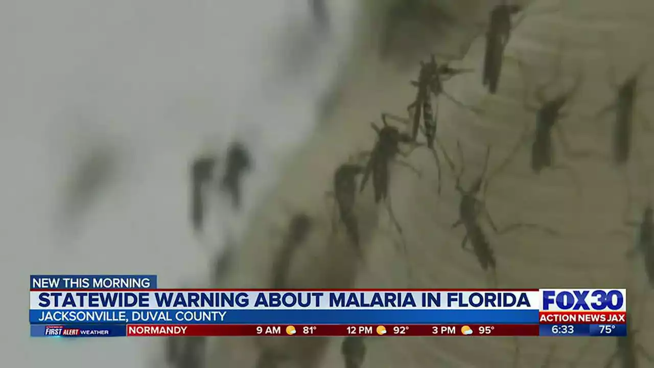 FL Department of Health issues mosquito-borne illness advisory after four malaria cases confirmed