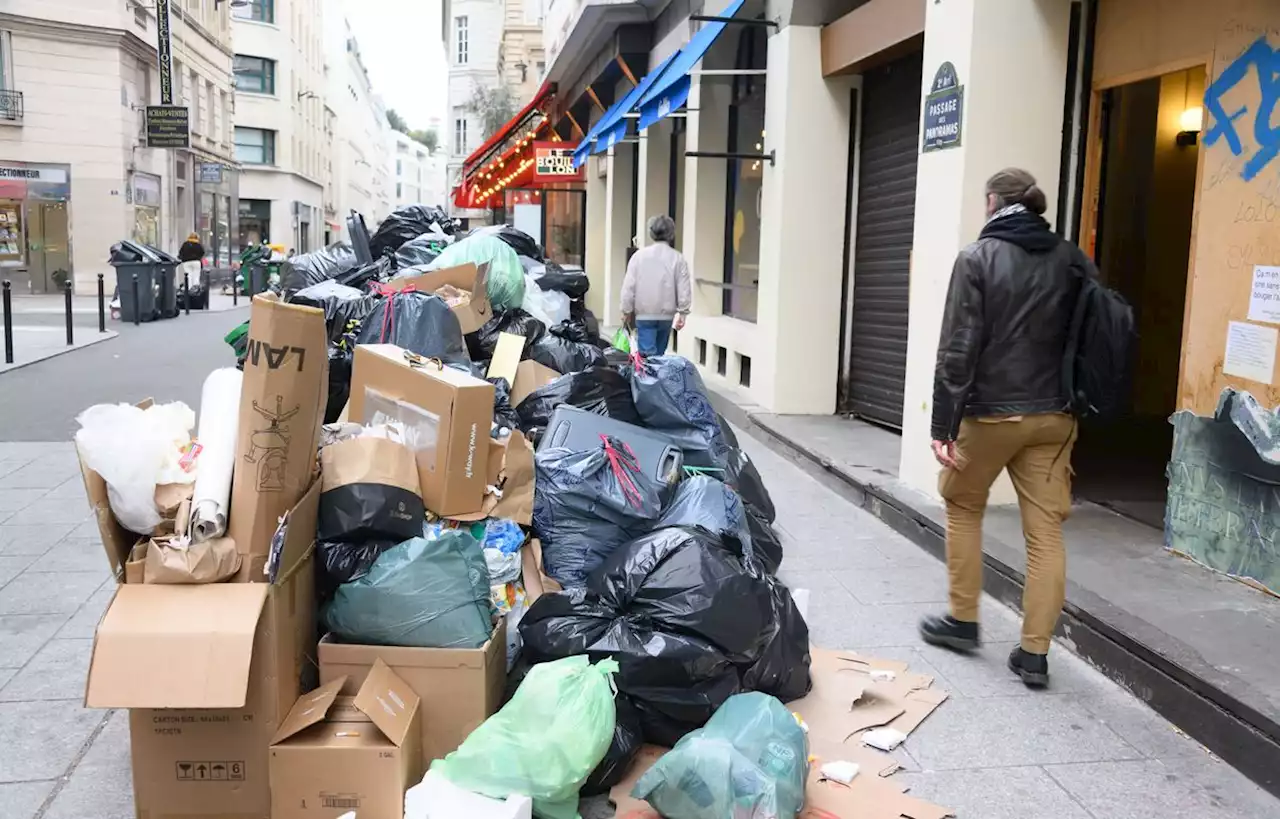 Quand l’e-commerce fait déborder les poubelles de cartons