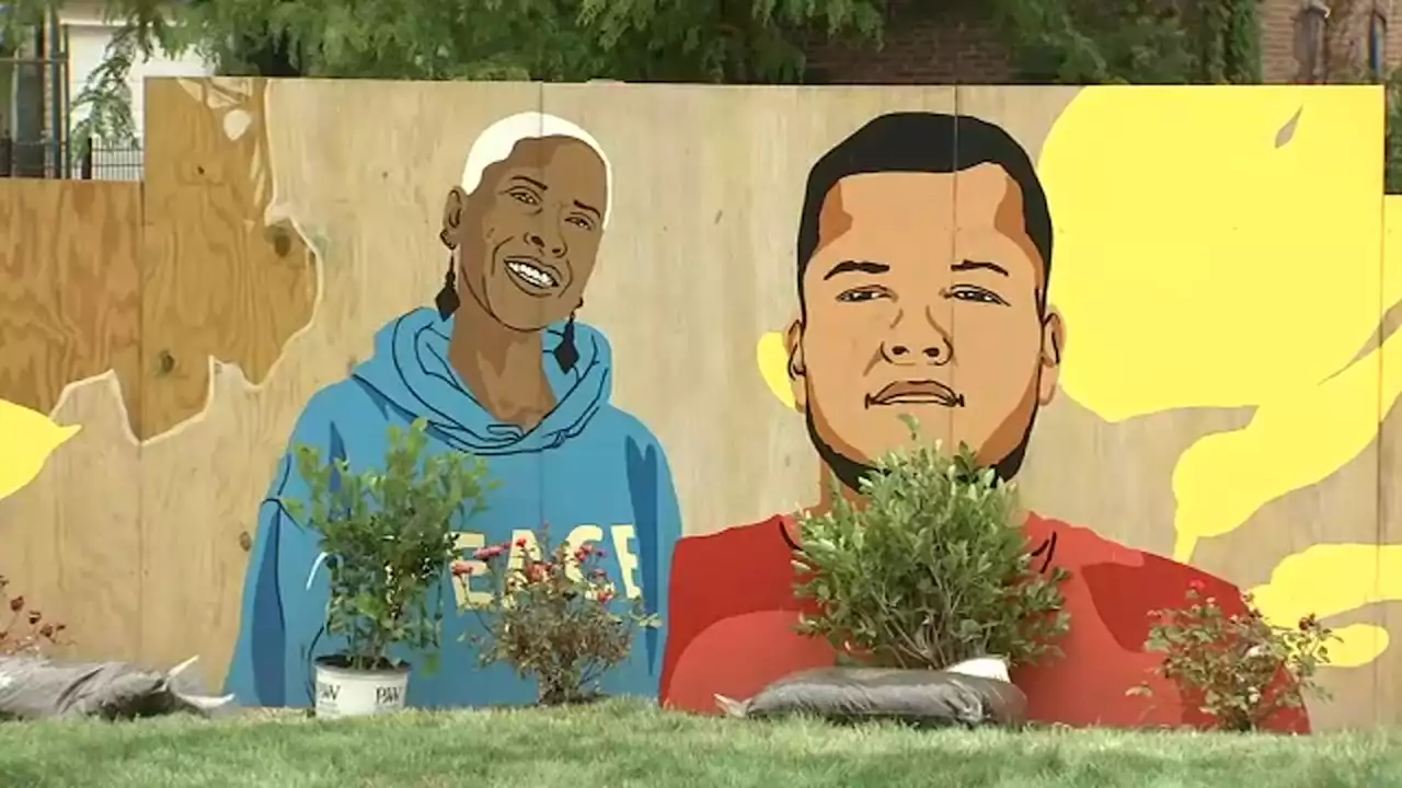 Chicago nonprofit Emerald South beautifying vacant land with 'Lots of Compassion'