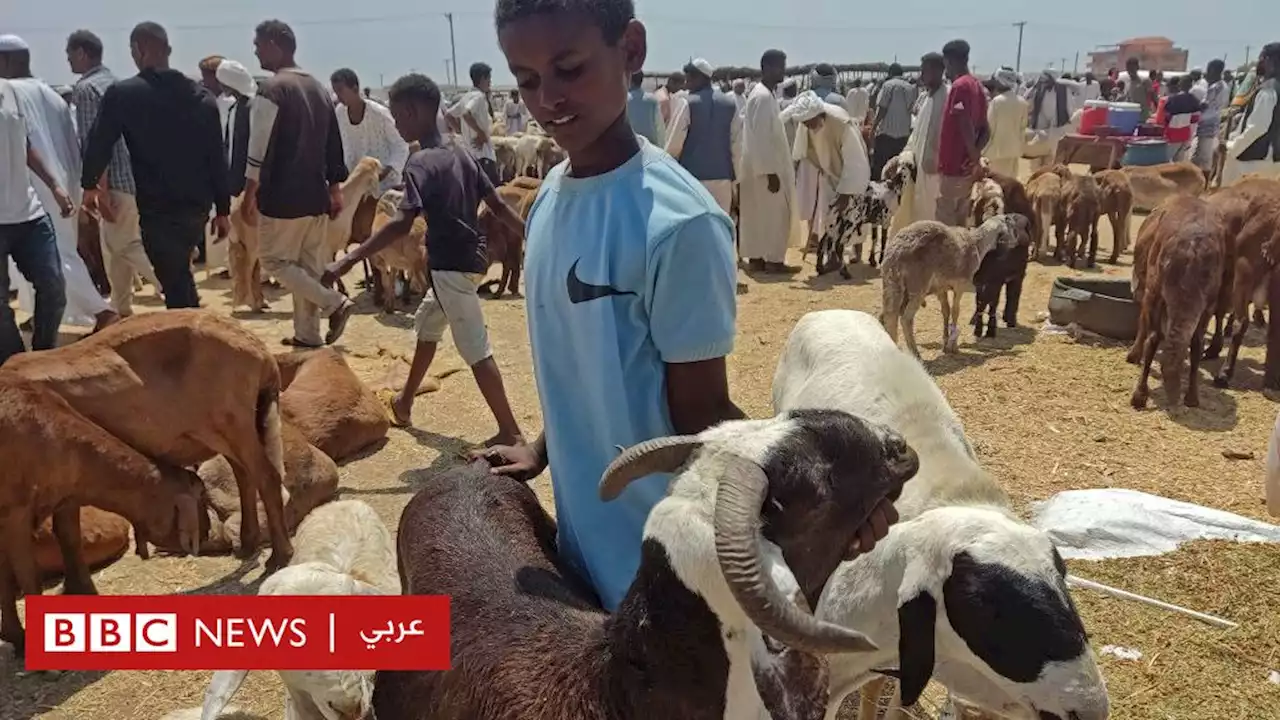 الجيش السوداني يعلن وقف إطلاق النار في أول أيام العيد - BBC News عربي