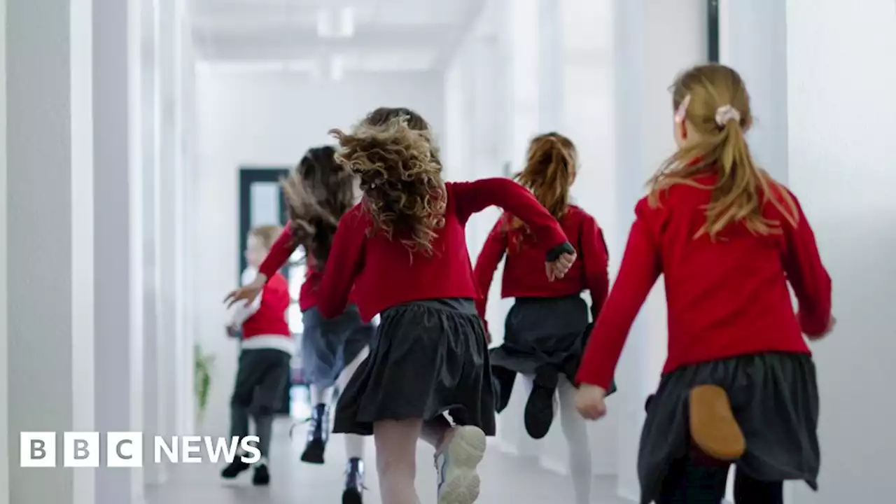 Estimated 700,000 pupils in unsafe or ageing schools in England, says watchdog