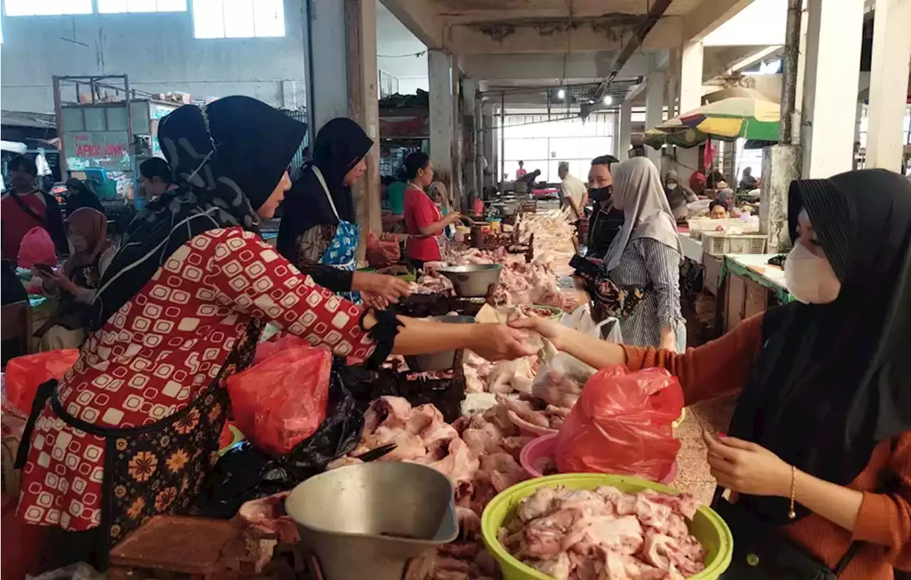 Kerap Merugi, Pedagang Ayam di Kudus Mogok Jualan