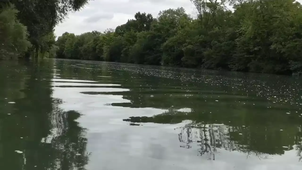 Nettoyage des eaux de la Marne: la Seine-Saint-Denis 'au rendez-vous' pour les Jeux olympiques selon le préfet