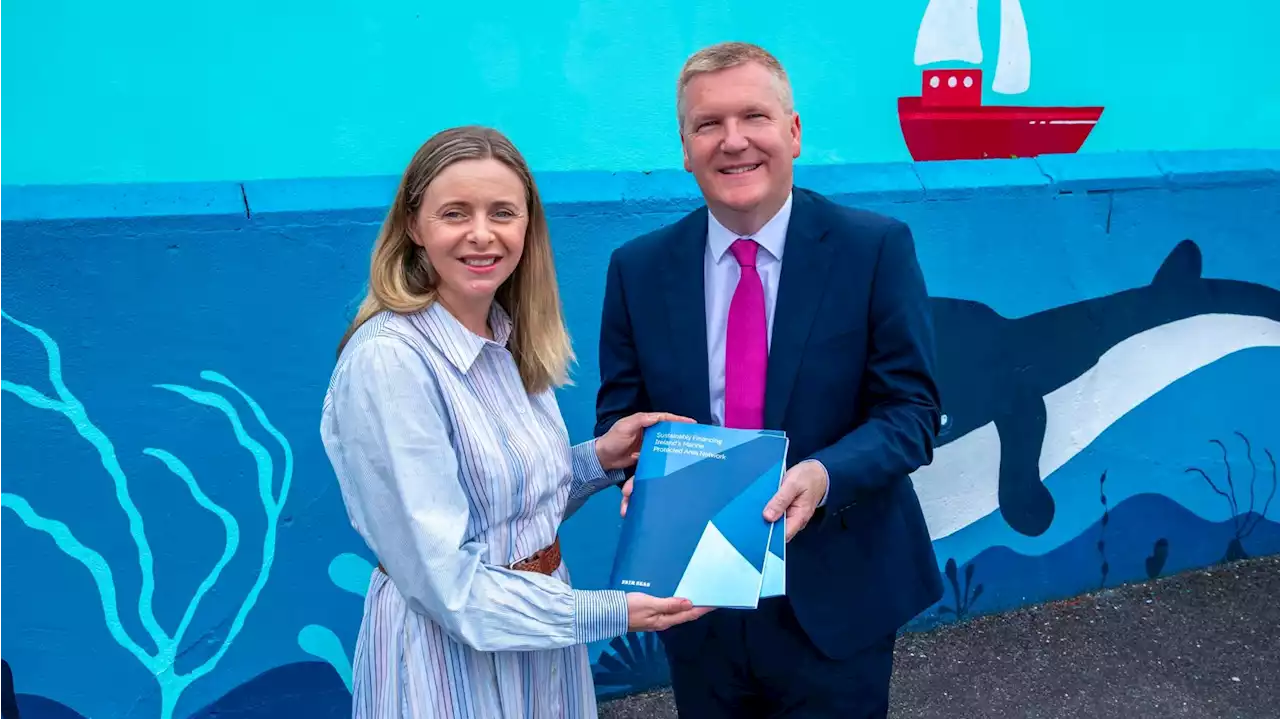 Ireland ‘needs to spend €55m by 2030 to save ocean biodiversity’