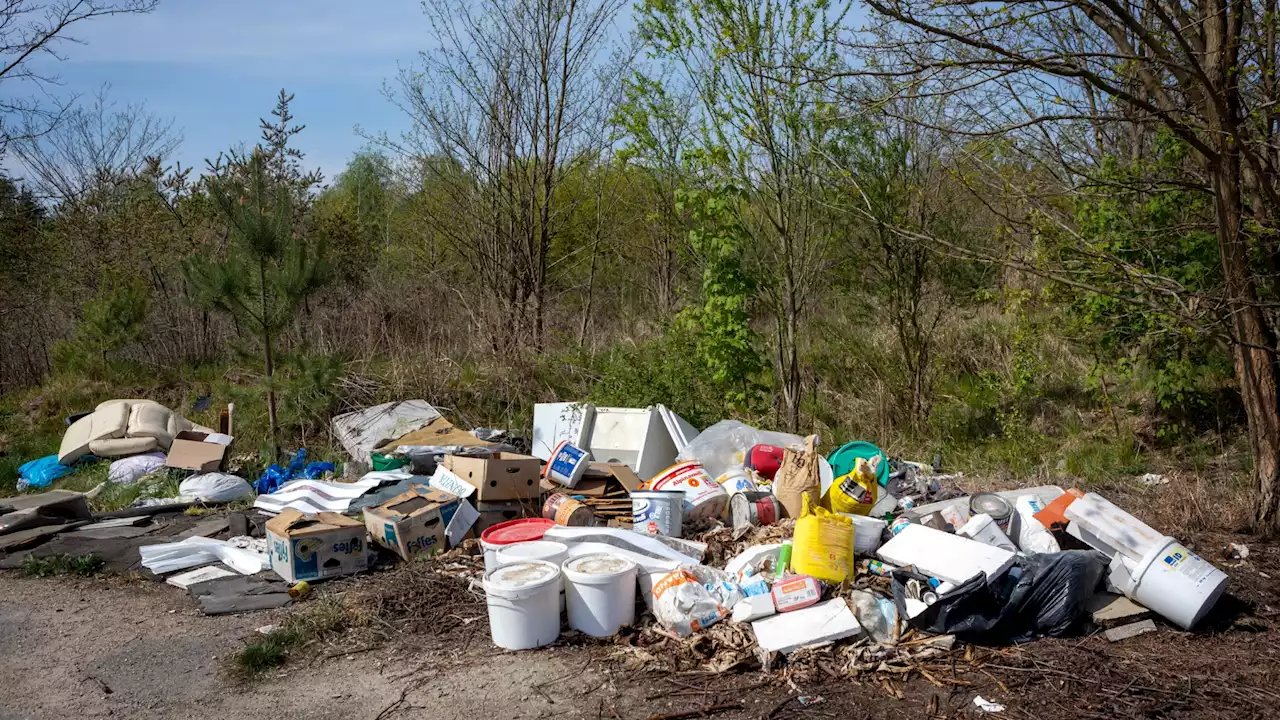 Dreimal so viele illegale Müllkippen in Brandenburgs Naturschutzgebieten