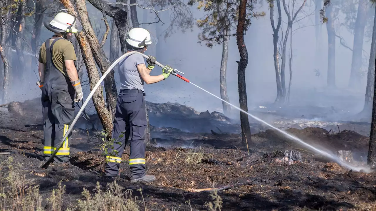 Hubschrauber bekämpft Glutnester bei Waldbrand