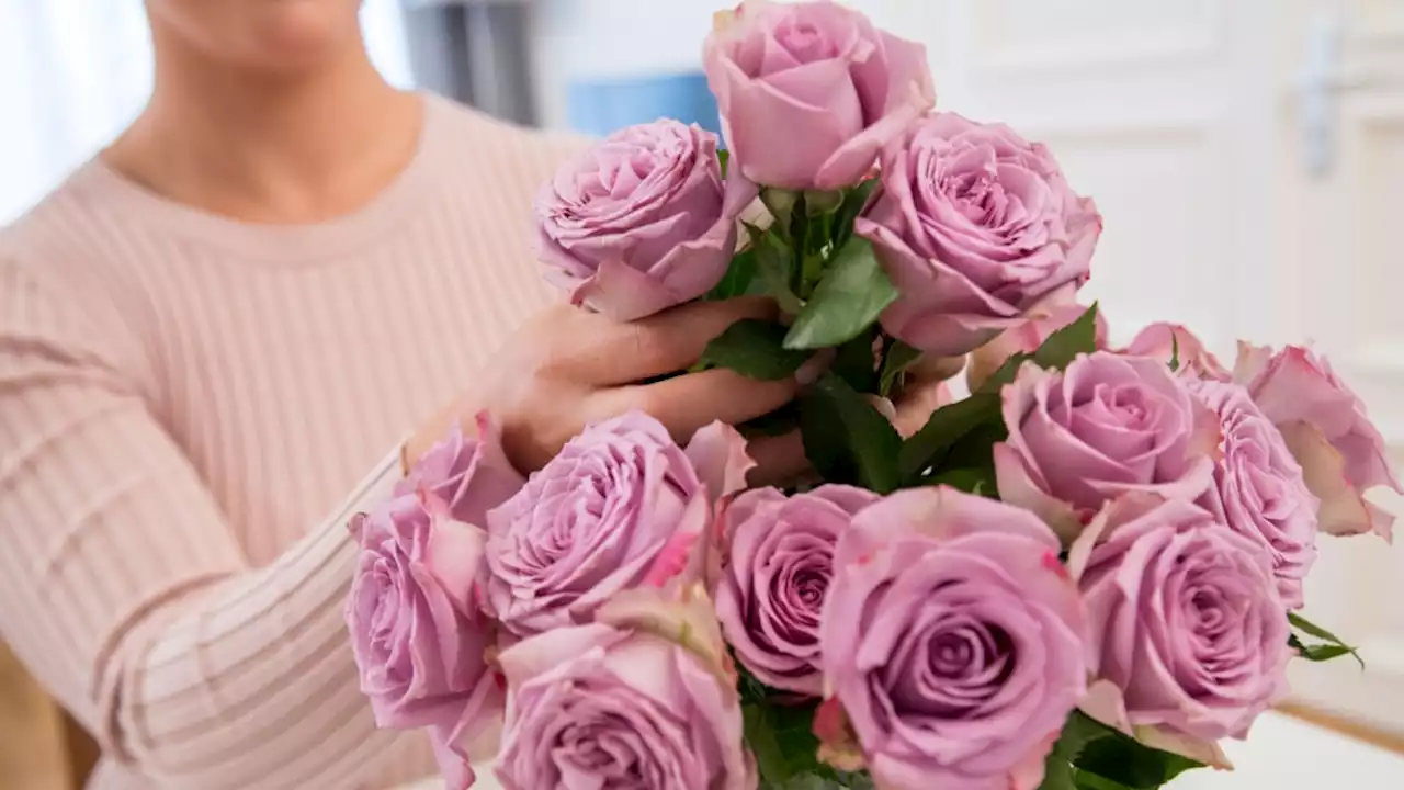 Wie Ihre Blumen im Sommer länger frisch bleiben