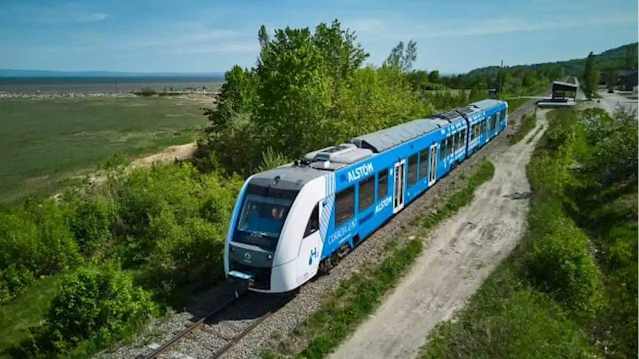 Canada's first hydrogen train is taking passengers | CBC News