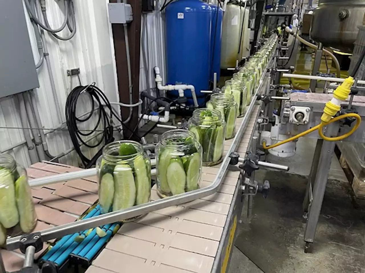 New Ownership of the Don Hermann Pickle Factory Will Extend the Iconic Ohio Brand’s Reach