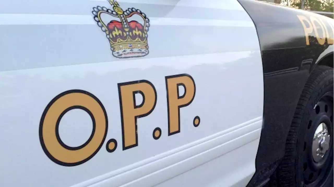 Pedestrian struck and killed on Hwy. 400 in Barrie was 20-year-old international student: OPP