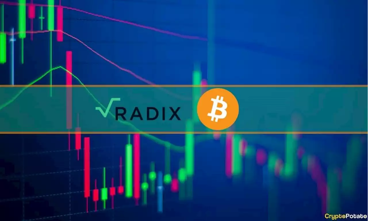 Bitcoin Fights for $30K, Radix (XRD) Plummets 13% Daily: Market Watch