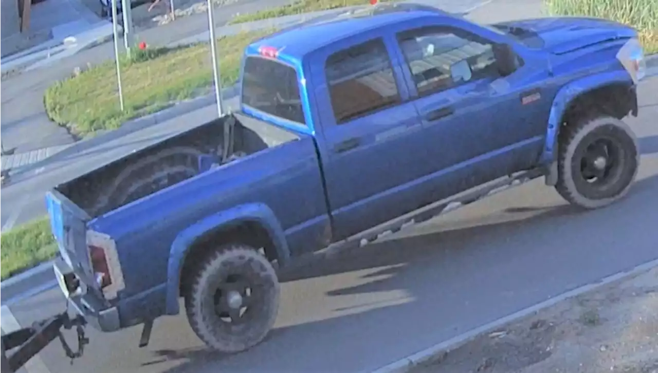 Child seriously injured in Calgary hit-and-run, driver of blue pickup truck sought