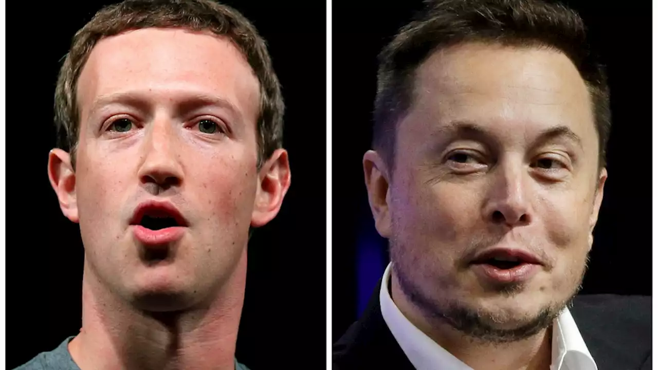 Elon Musk accepts training offer from Canadian UFC fighter for cage fight against Mark Zuckerberg