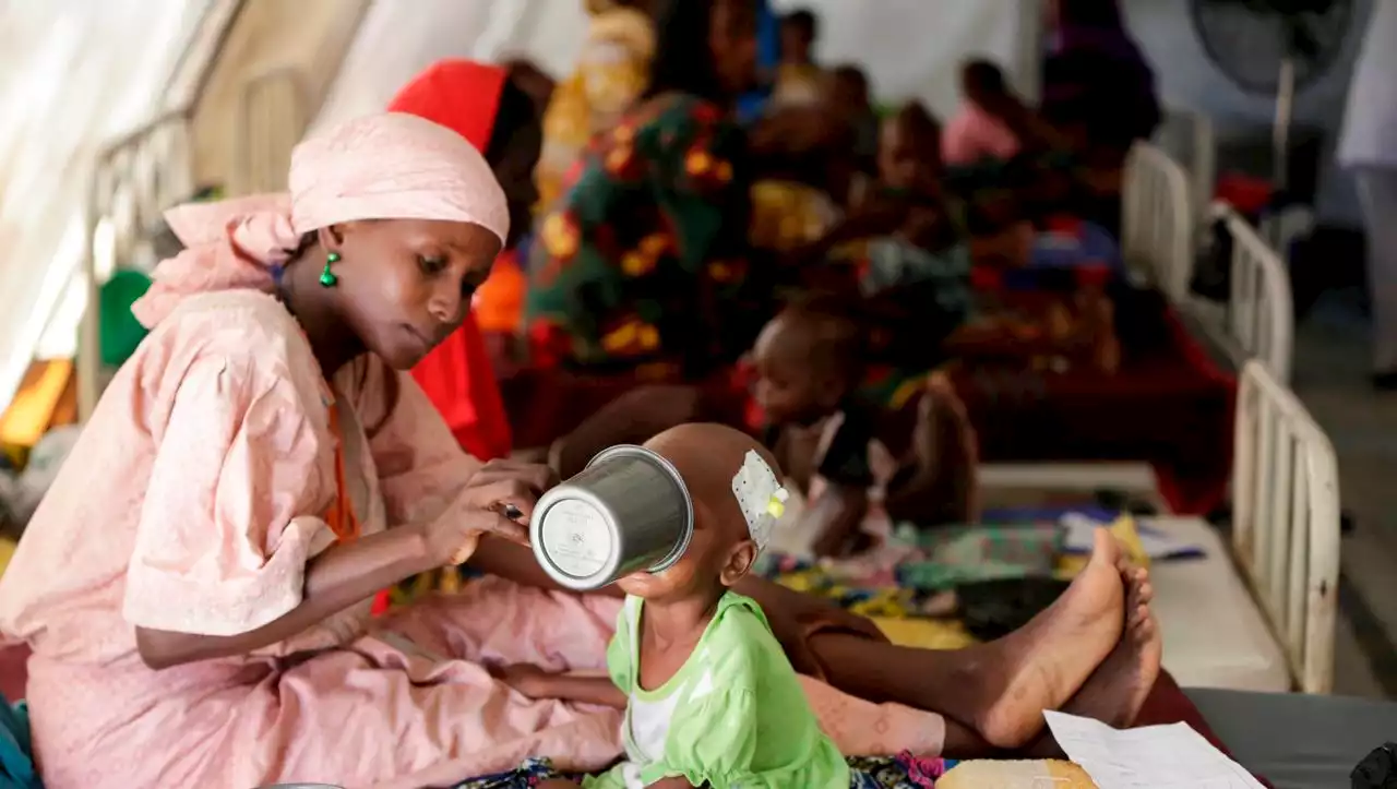 Boko-Haram-Terror: Millionen Menschen in Nigeria von Hungersnot bedroht