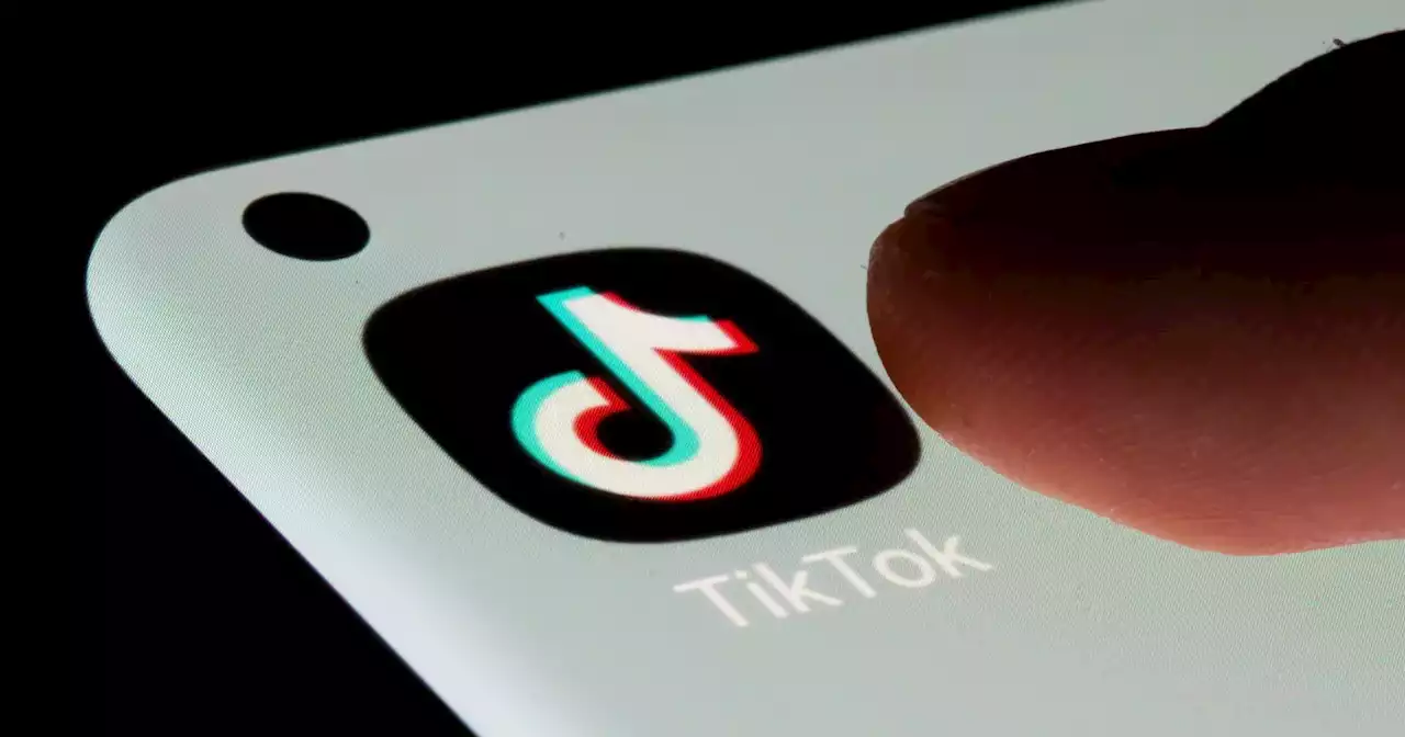 TikTok está disponível para falar com o Governo, mas diz que não recebeu ordem de interdição