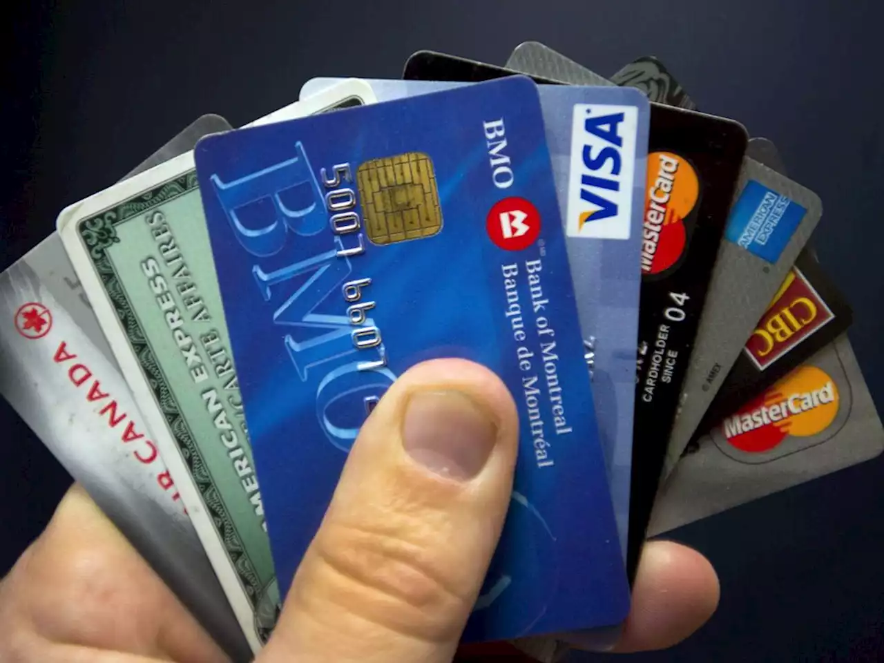 Canadians' household debt is high, but risk of major shock is low: economists