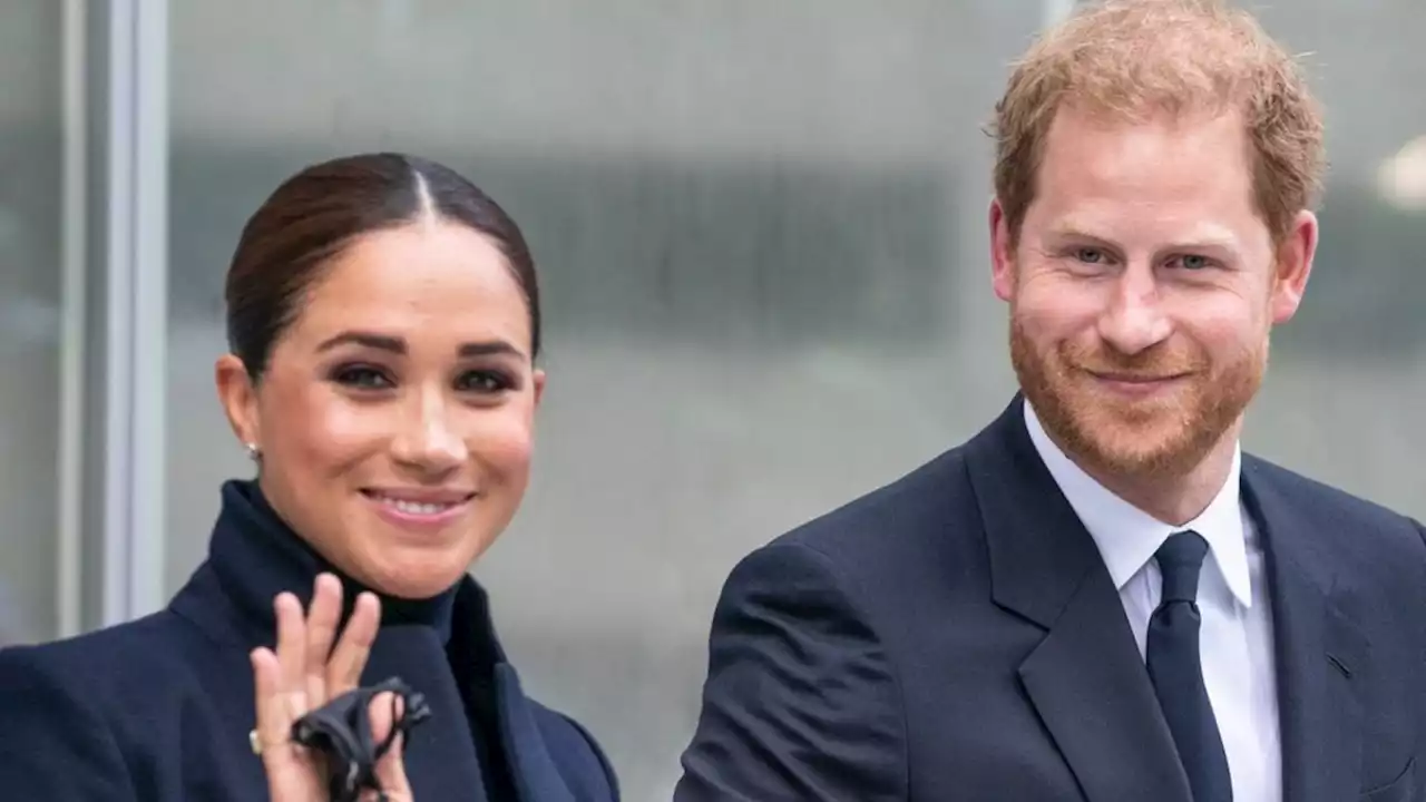 Zusammenarbeit mit Harry und Meghan läuft