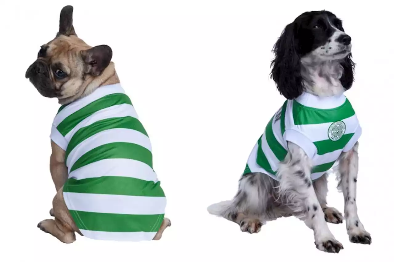 Pet clothing retailer announces exclusive Celtic range