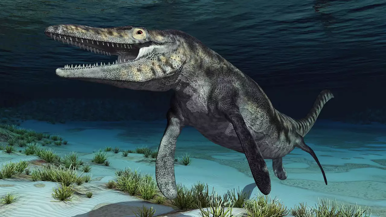 Scientists discover 94-million-year-old mosasaur fossil in Utah