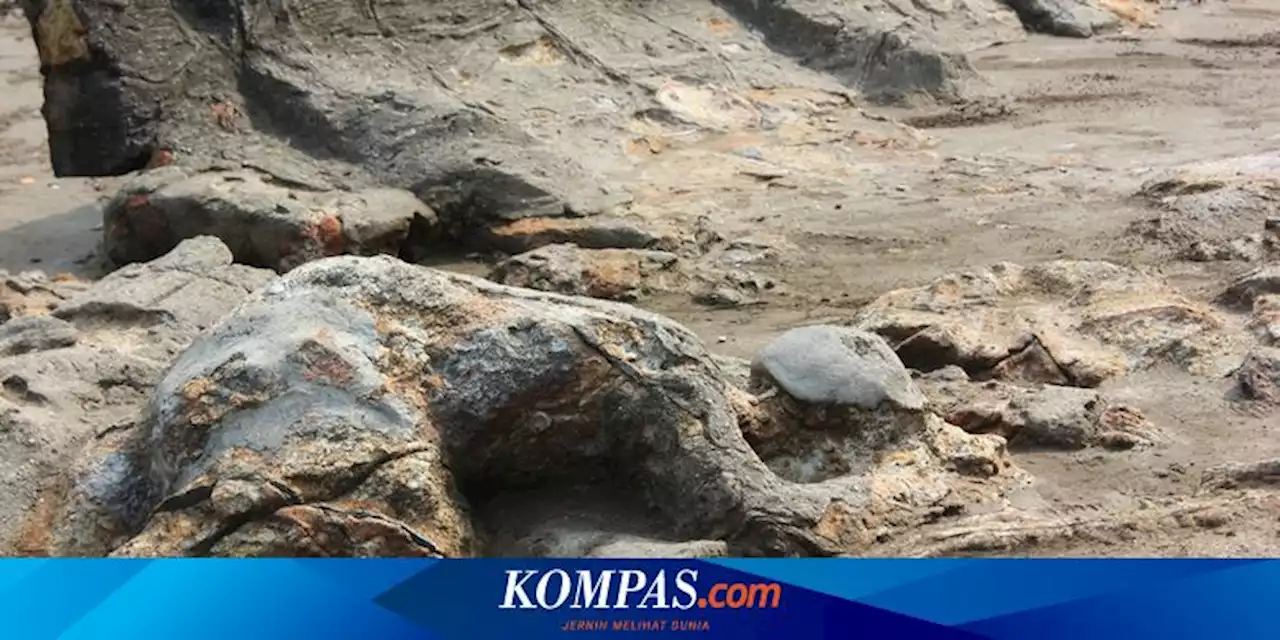 7 Tempat Liburan di Padang Sumatera Barat, Ada Batu Malin Kundang