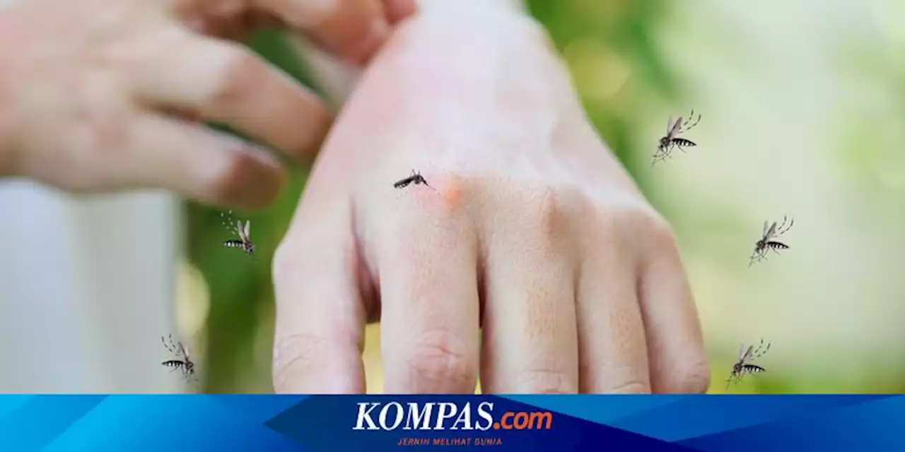 Kenapa Ada Orang yang Lebih Sering Digigit Nyamuk?