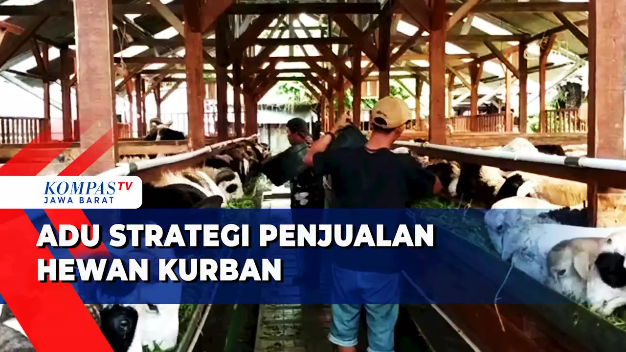 Penjual Hewan Kurban di Tasikmalaya Lewat Media Sosial