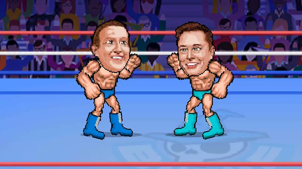 Elon Musk's Mom Can't Stop The Mark Zuckerberg Cage Fight In New Game