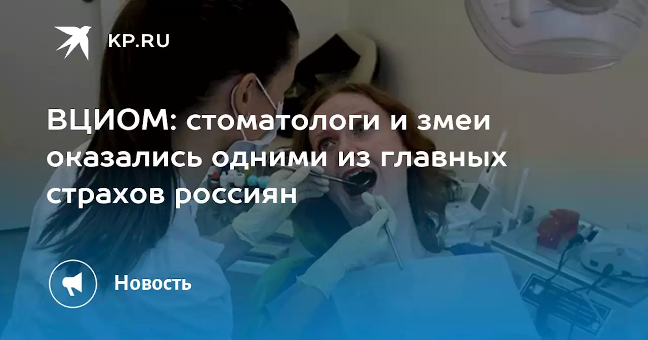 ВЦИОМ: стоматологи и змеи оказались одними из главных страхов россиян