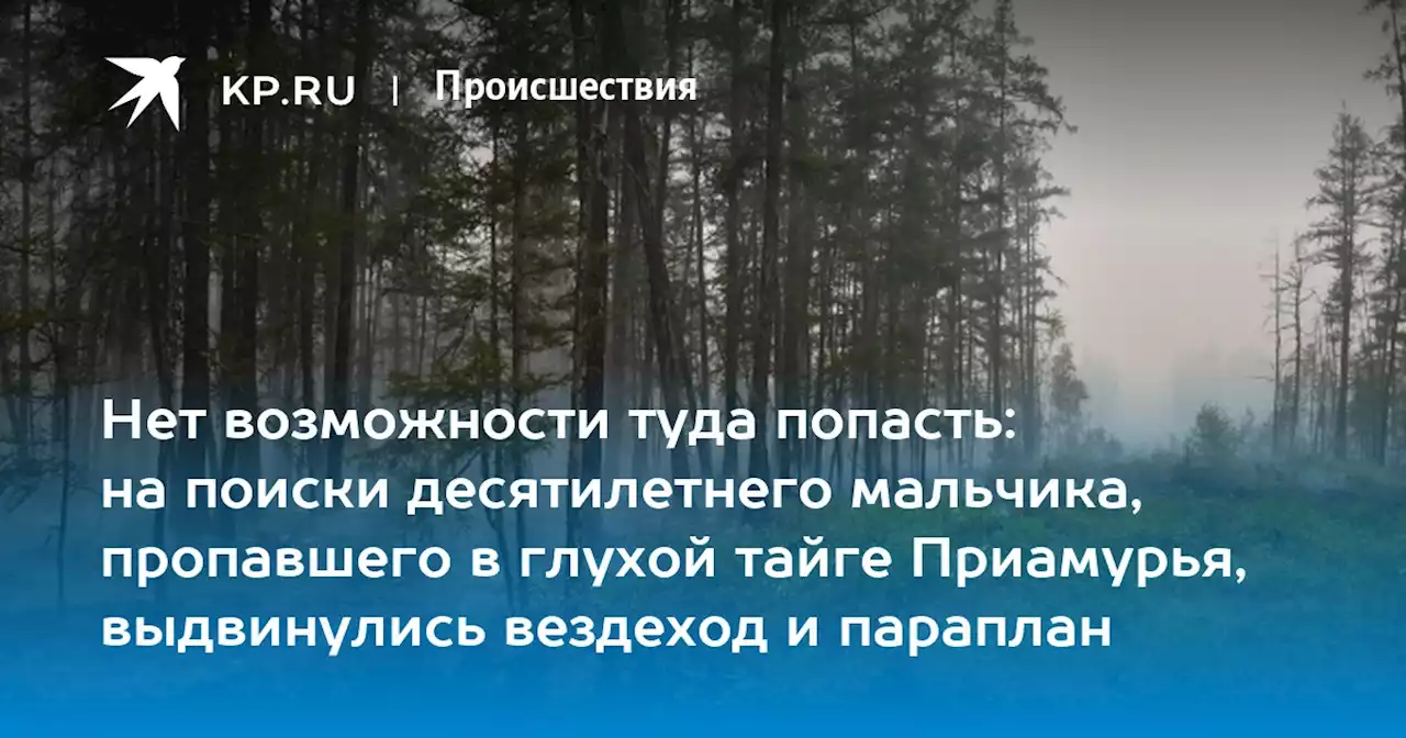 Нет возможности туда попасть: на поиски десятилетнего мальчика, пропавшего в глухой тайге Приамурья, выдвинулись вездеход и параплан