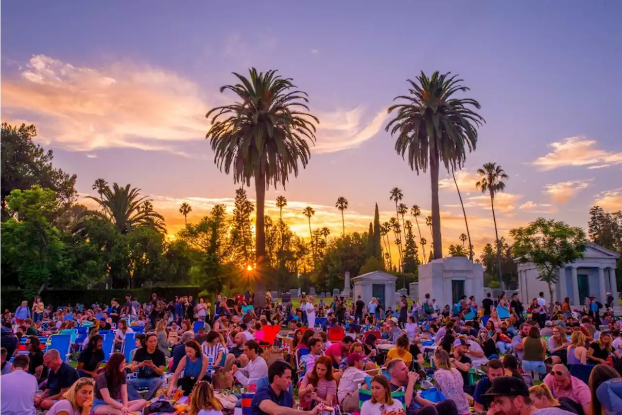 Where to see outdoor movies in Southern California this summer