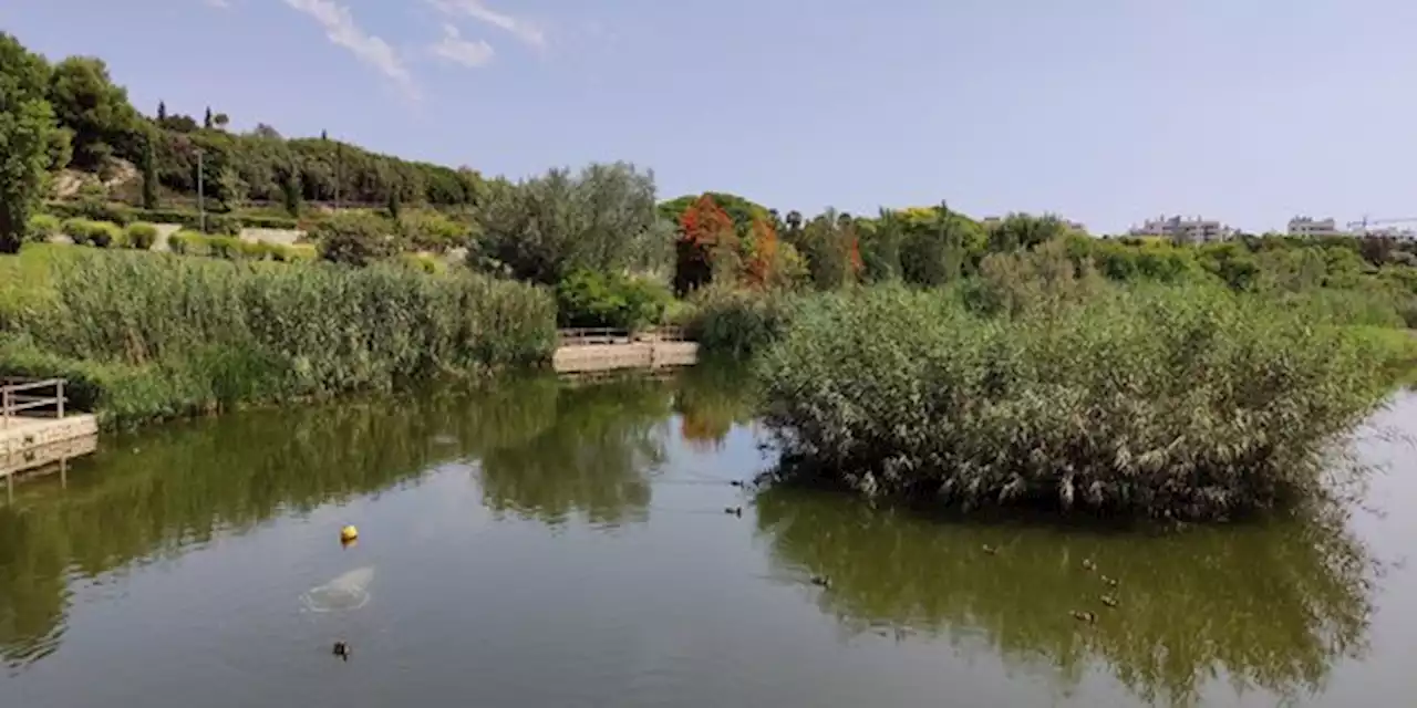 Veolia prône le modèle espagnol pour accélérer la réutilisation de l’eau en France