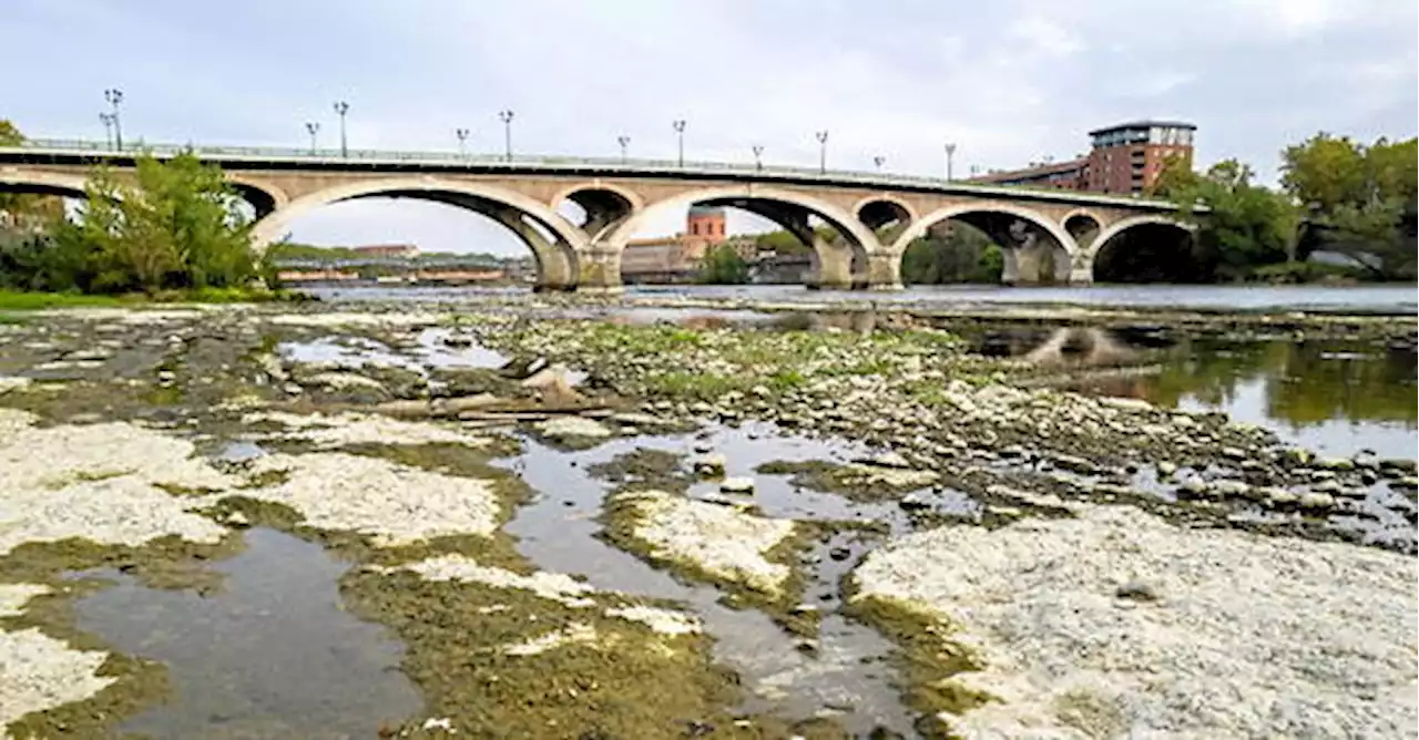 La France n'est « pas prête » à faire face aux effets du changement climatique