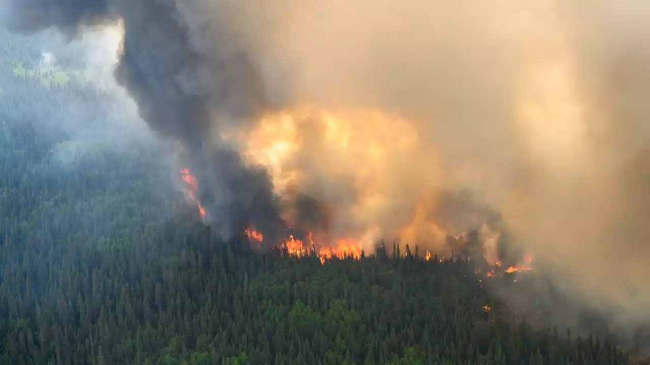 Les feux de forêt au Canada ont émis une quantité record de carbone