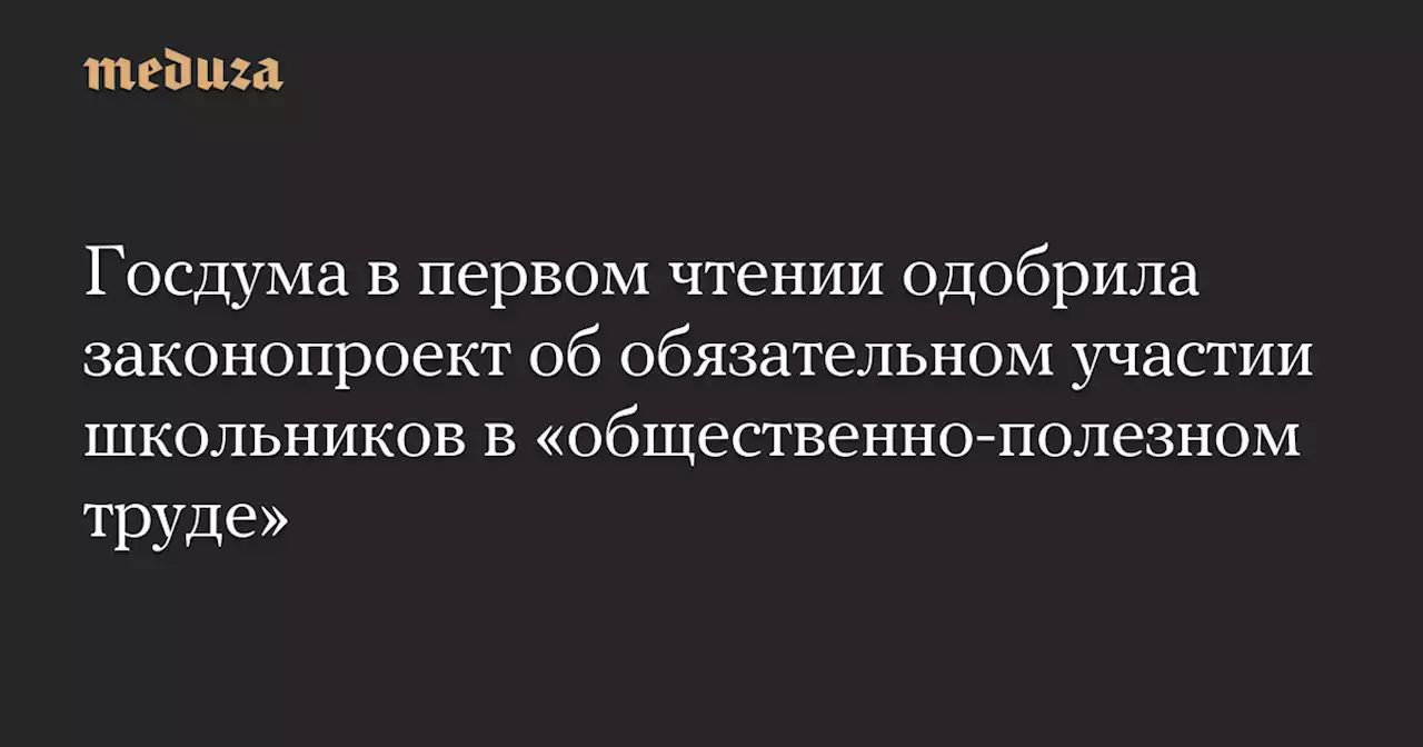 Госдума в первом чтении одобрила законопроект об обязательном участии школьников в «общественно-полезном труде» — Meduza