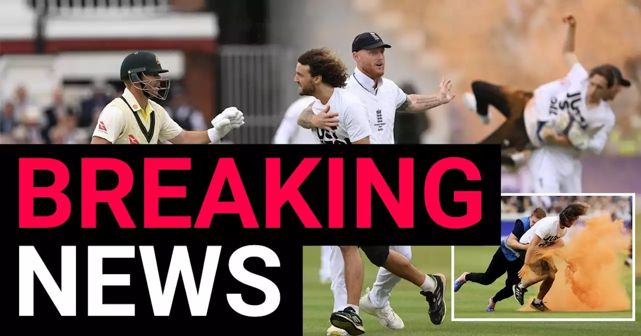 England cricketer drags protester off Lord's pitch after they disrupt Ashes