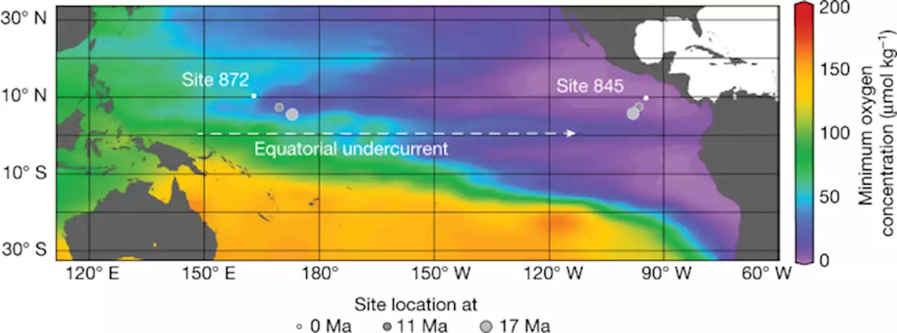 A well-oxygenated eastern tropical Pacific during the warm Miocene - Nature