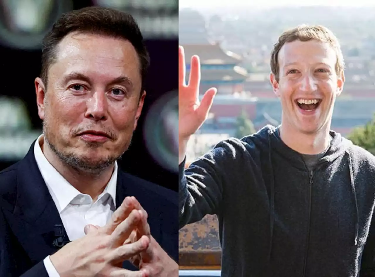 Mark Zuckerberg e Elon Musk vão lutar? Veja o que se sabe até agora