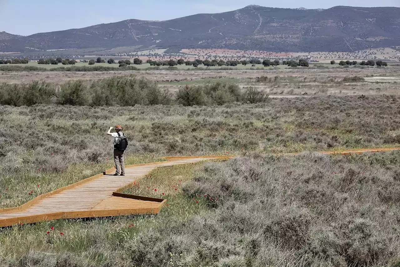 Las Tablas de Daimiel entran en la UCI y sólo un 5% de su superficie tiene agua