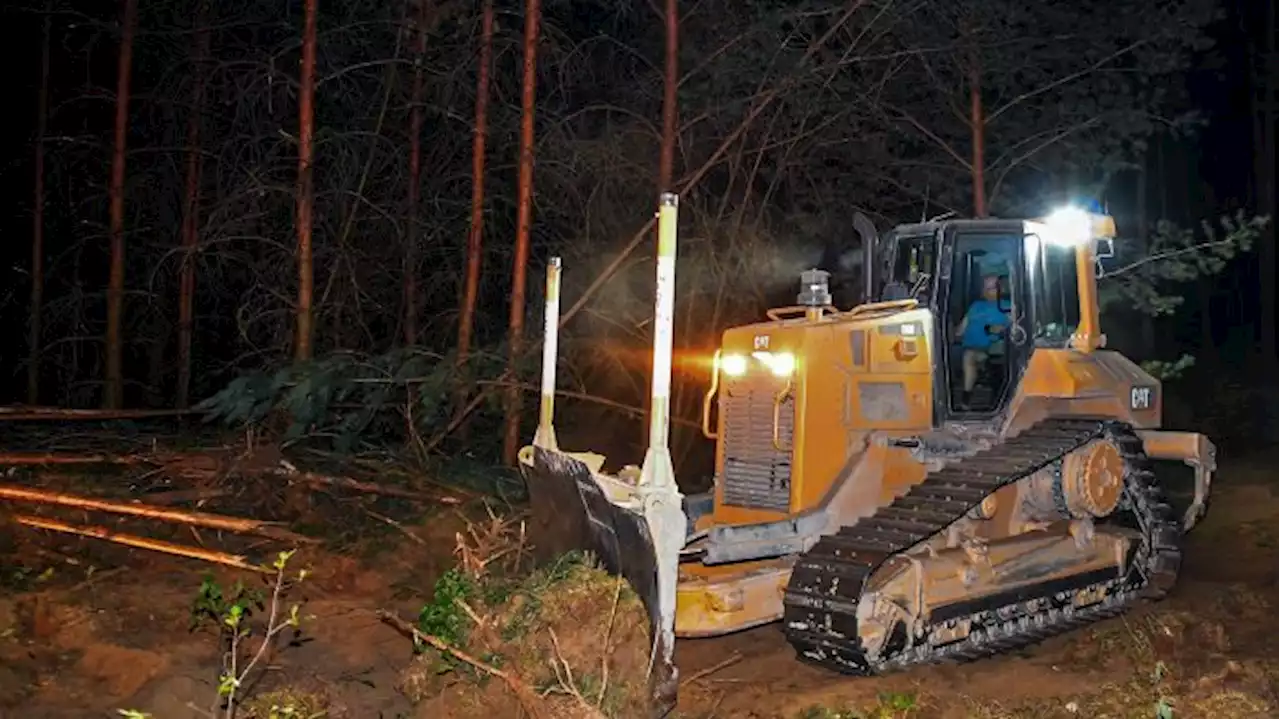 Brandenburg will auf 800 Hektar weitere Waldbrandriegel anlegen