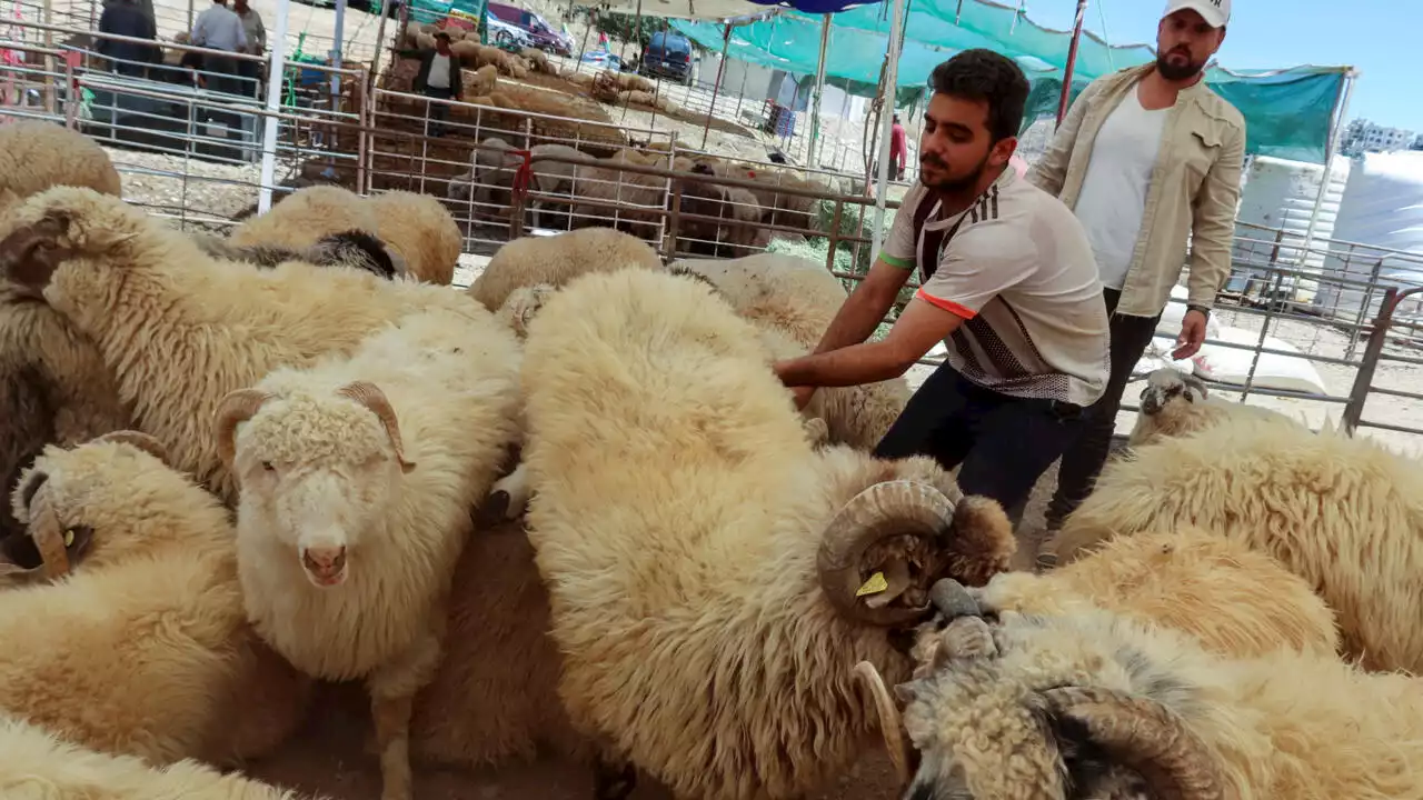 Aïd el-Adha en Jordanie: à Amman, l'ambiance est à la fête