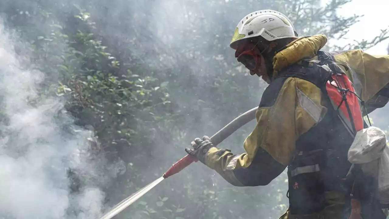 Moustiques, forêts immenses: la lutte des pompiers français contre les feux au Canada