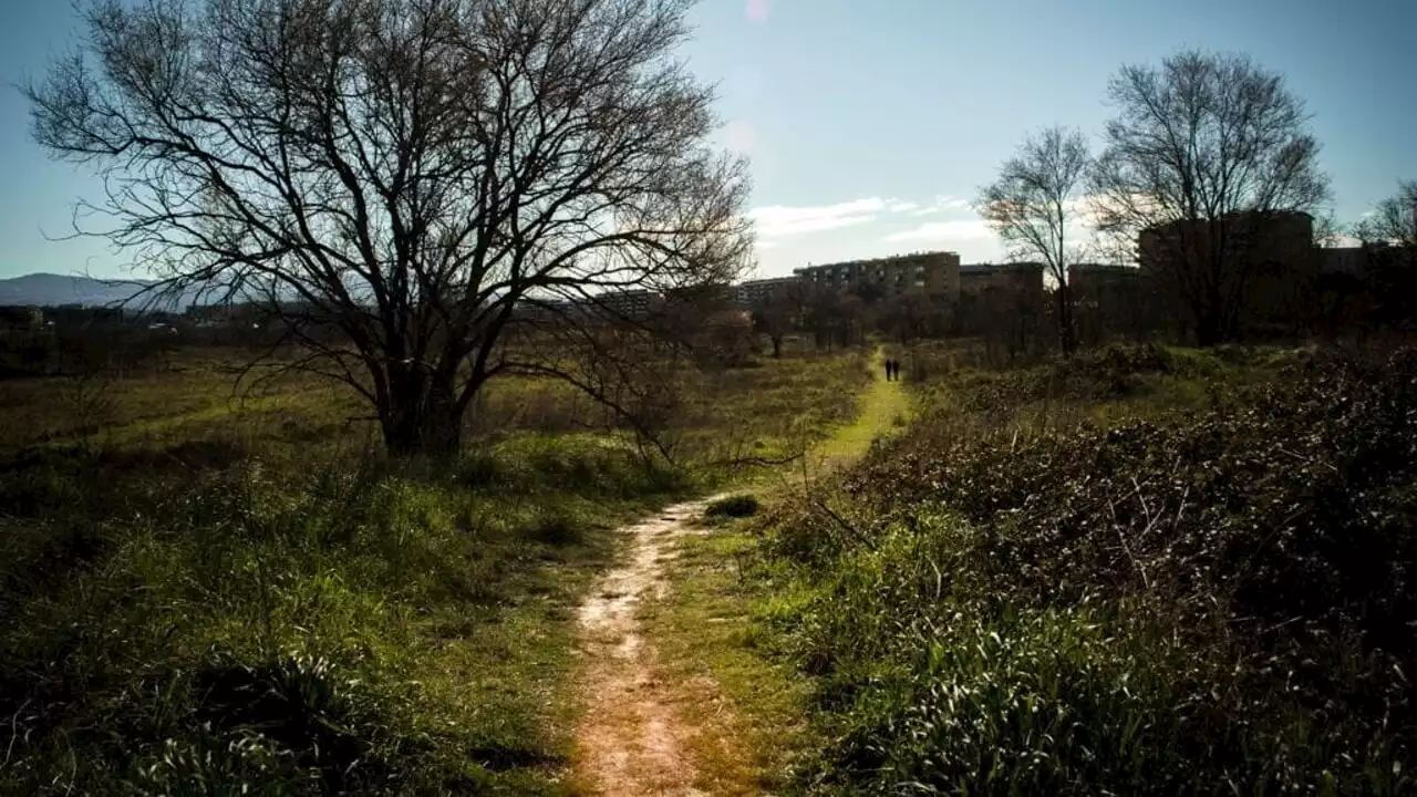 Pratone di Torre Spaccata: la Sovrintendenza sposa la causa del parco, ma il municipio la boccia