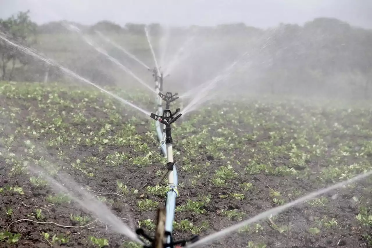 EU: Behandeltes Abwasser für Bewässerung - Schweizer Bauer