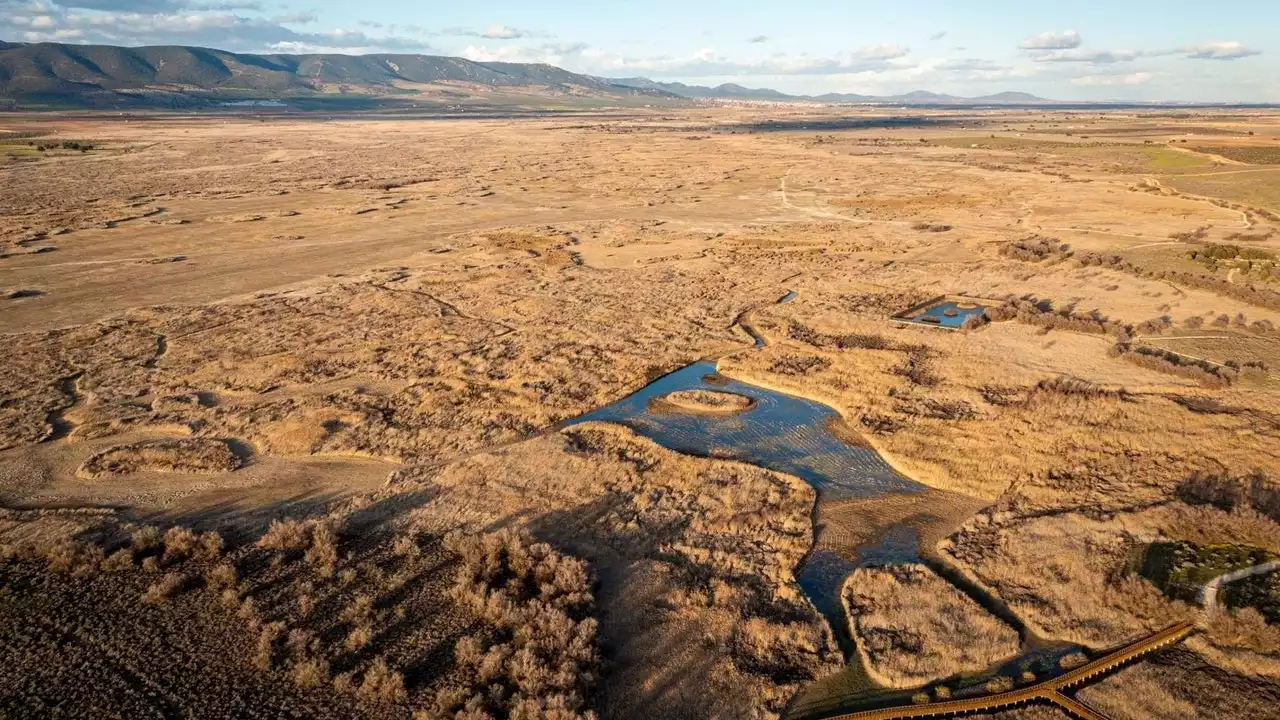 Urge salvar las Tablas de Daimiel: el Parque Nacional cumple 50 años en una situación crítica